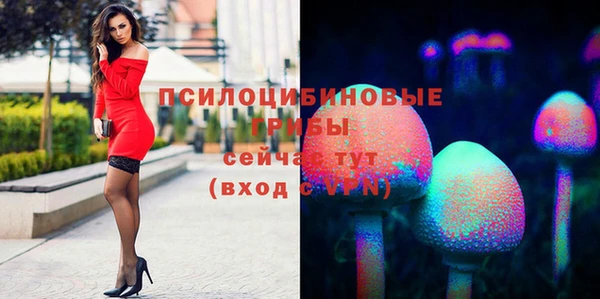 мескалин Абаза