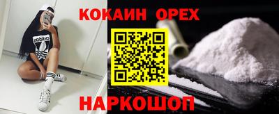 гашик Дубна