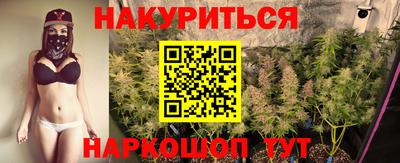 гашик Дубна