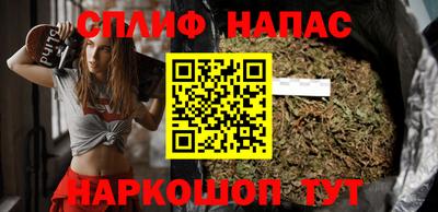 гашик Дубна