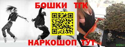 гашик Дубна