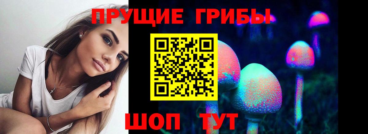 Галлюциногенные грибы мицелий  где найти наркотики  Кудымкар  Вход с VPN  Галлюциногенные грибы MAGIC MUSHROOMS 